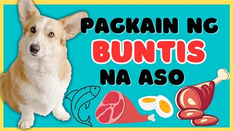 pinay nagpaiyot sa aso|Nag pa buntis na sa kano .